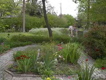 The Garden