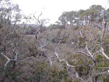 Upstairs Porch View