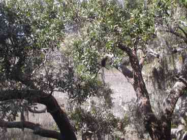 Downstairs Porch View