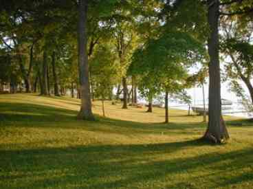 Shoreline facing south from backyard