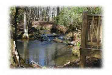 Large Deck Area Just Steps from the Creek!
