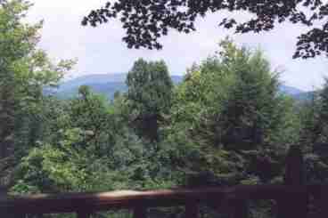 View from deck