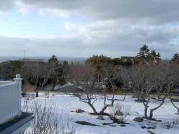Winter view