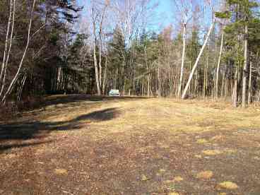 BACK YARD,