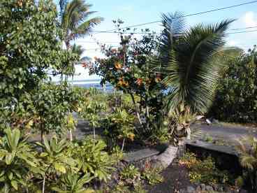 Kapoho tidepools from front verandah.
