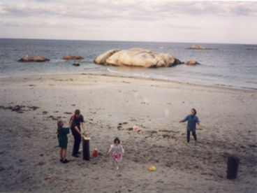 Beach House on Minot Beach