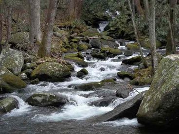 Cabin in the Smokies