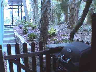BBQ Area