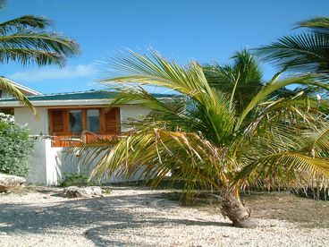 The guest cottage