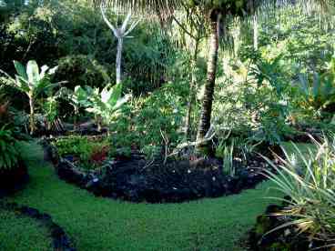Pick some bananas or White pineapples (when in Season).  Fragrant with Plumeria and Camelia blossoms and plenty of Hibiscus and orchids as well.