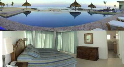 Pool & Pier