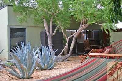 Beautiful Landscaping