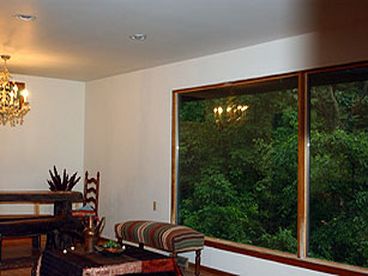 WIndow View, Summer