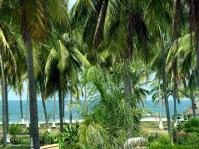 View from living areas and terrace at Villa Michelle, Playa Las Tortugas