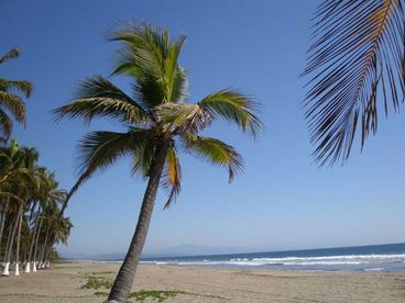 Looking south down 5 miles of warm tropical sand beach