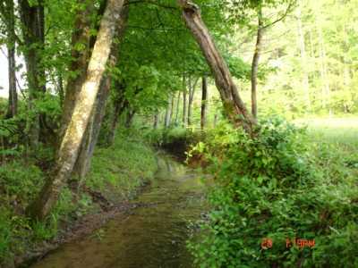 Flowing stream