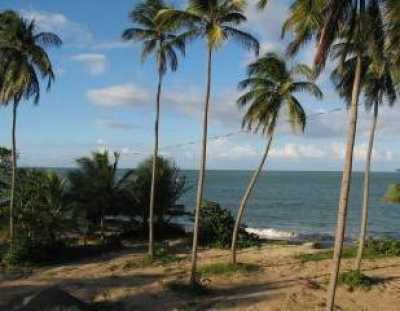  Our Beach