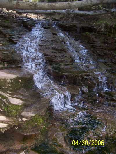 Photo 8