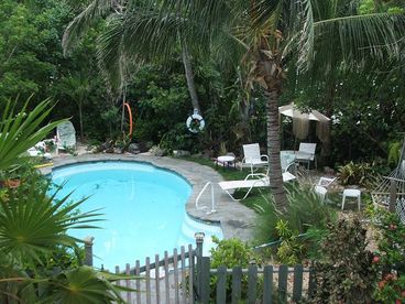 The awesome  tropical water fall pool !