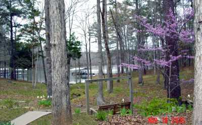 East side of yard.  Swing (bottom right of photo) has a lovely view at forest\\\'s edge.  
