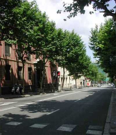 Located in a beatiful street