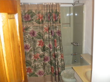 3bdr. 2 bath with Brand New Spectacular Hot Tub