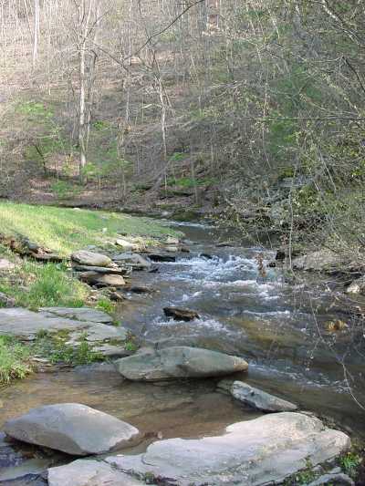 The water in Sugar Creek is crystal clear.