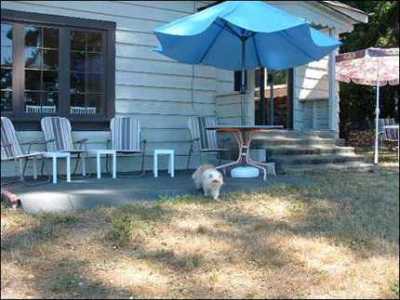 Patio and 2nd Sitting Area