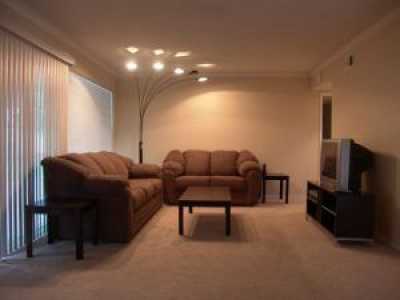 The Living Room