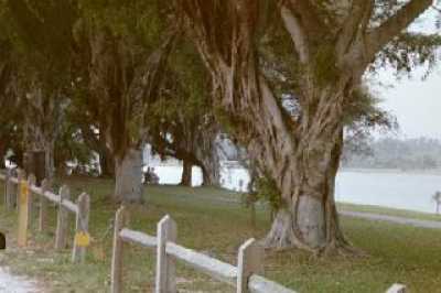 Lake Osborne