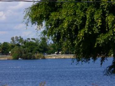 Lake view 
