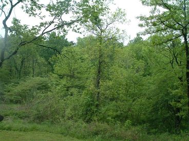 View from Front Porch