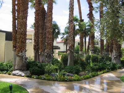 Pool Area and Grounds