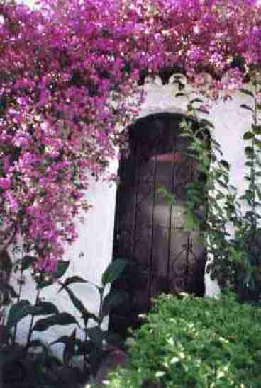 Tropical Gardens
