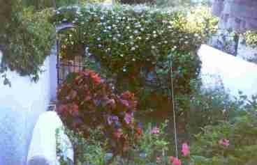 Apartment Garden