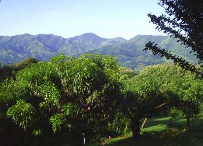 VILLA VISTA ALEGRE