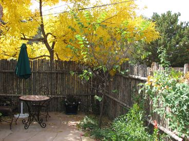 Front Patio