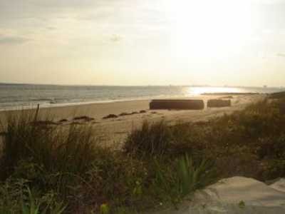 View at Sunset from Yard