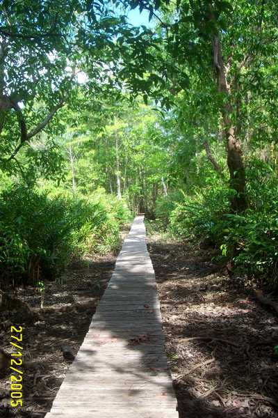 Villa Mariposa, Zancudo