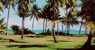 Look out towards the islands of Vieques and Cayo Santiago.