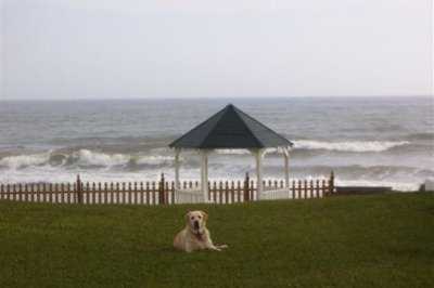 Our home is pet-friendly!