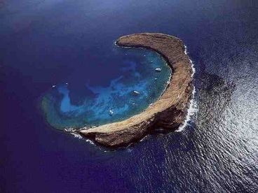 Molokini crater, great diving, snorkeling, whale watching and more!