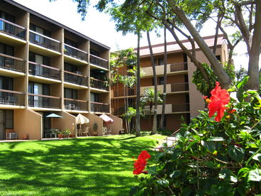 Garden view and lanai