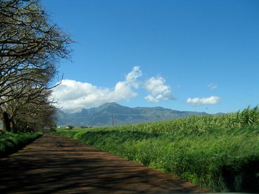 Road to bliss