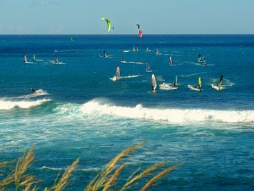 Wind/Kite Surfers