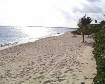 Beach in front of Condo