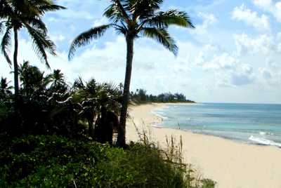 OUR EXCEPTIONAL BEACH LOOKING NORTH. THE VILLA IS JUST OUT OF FRAME TO THE LEFT.