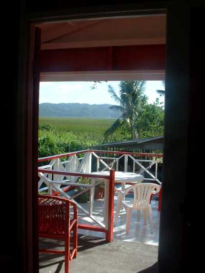 View of the mountains and the caribeans largest living morass from the the back deck and bedroom of the Devon house