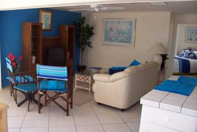 Downstairs Living room and Dining room