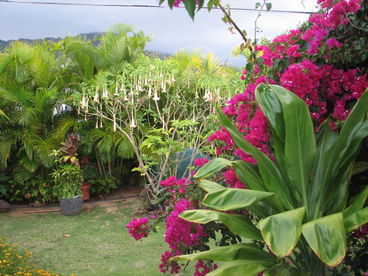 View from the front porch